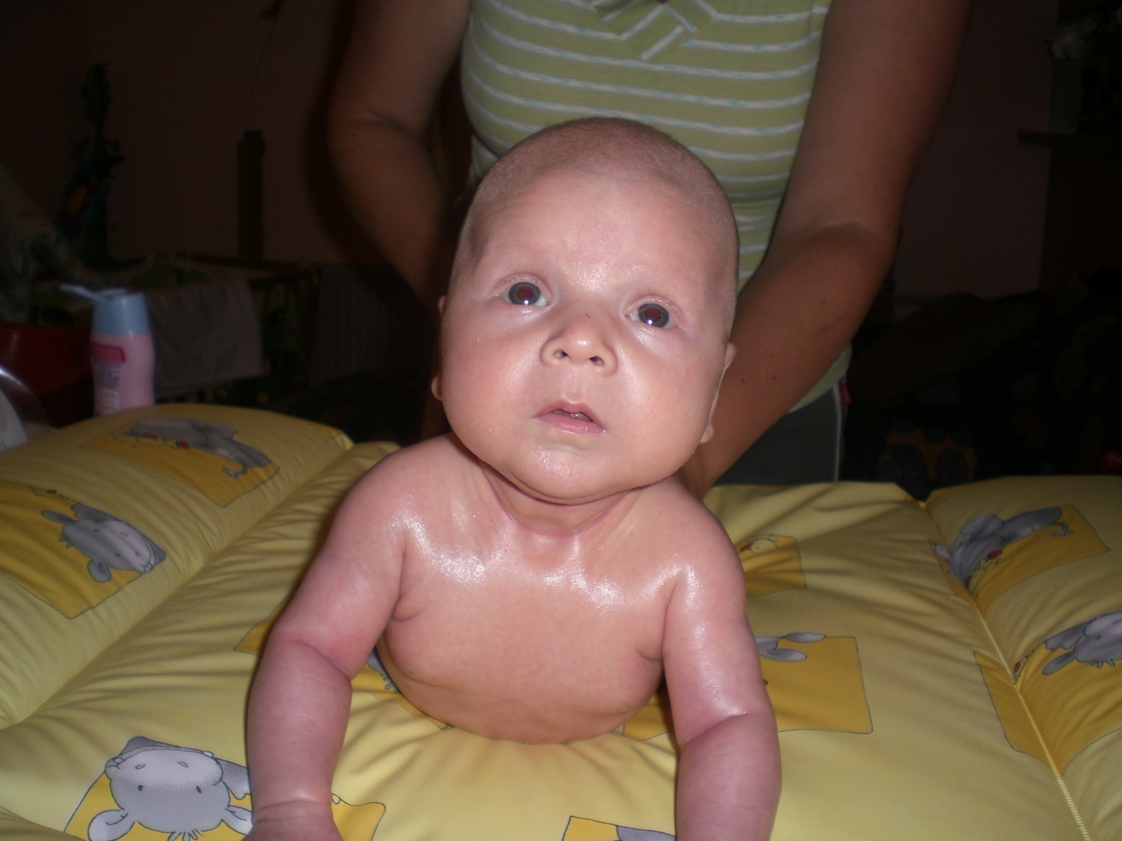 pasu koníčky.JPG